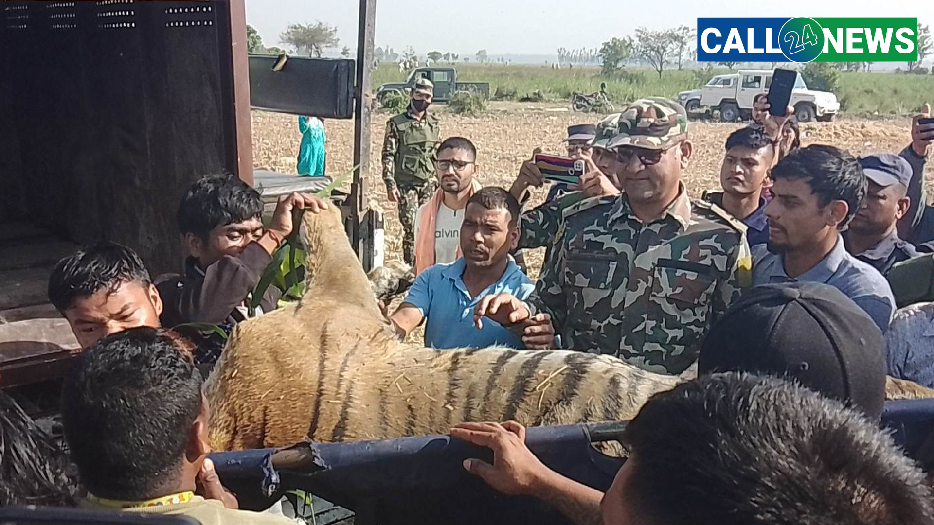 कञ्चनपुरमा महिलालाई आक्रमण गर्ने बाघ नियन्त्रणमा