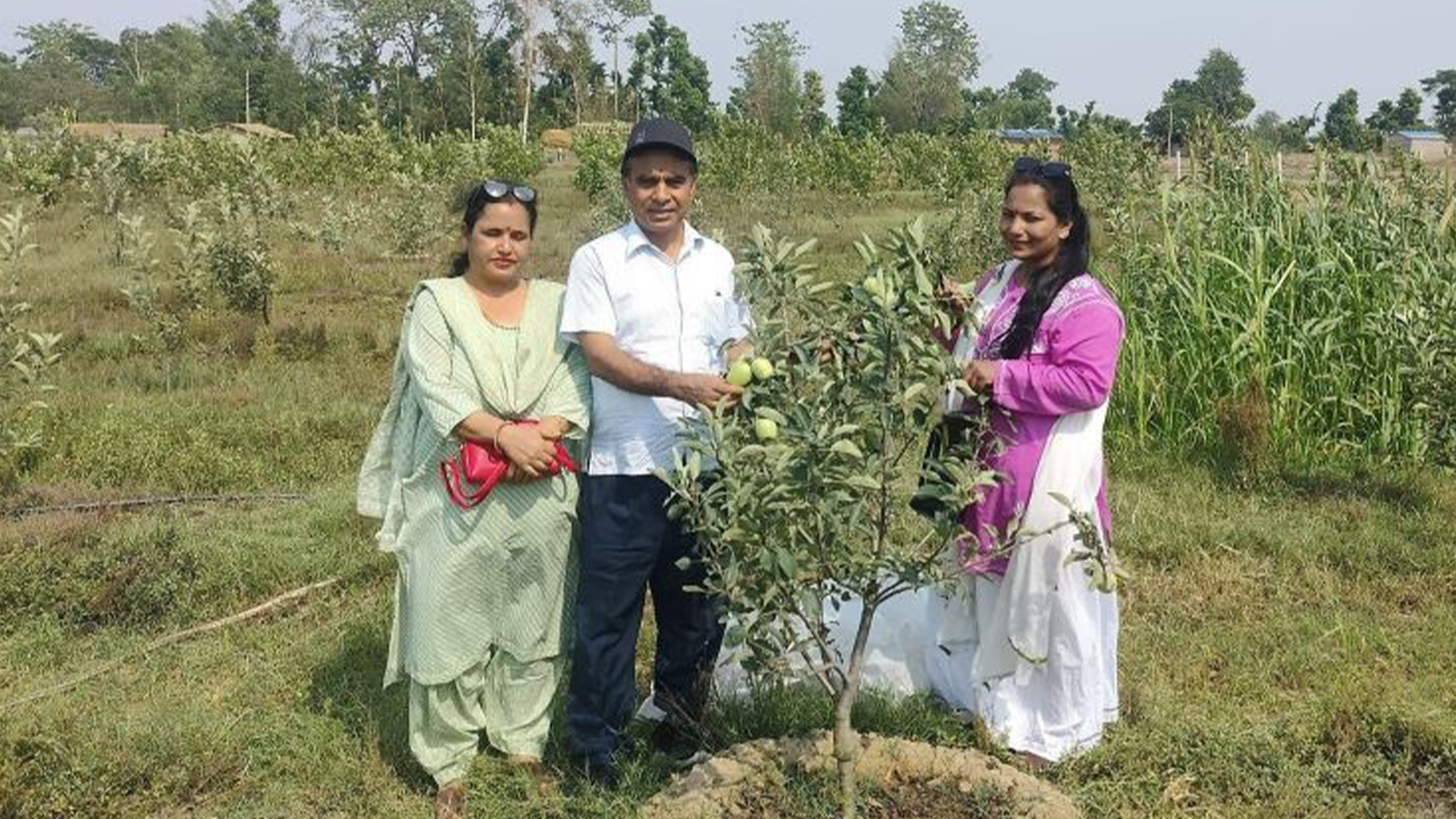 कैलालीमा पहिलो पटक व्यवसायीक रुपमा स्याउ खेती