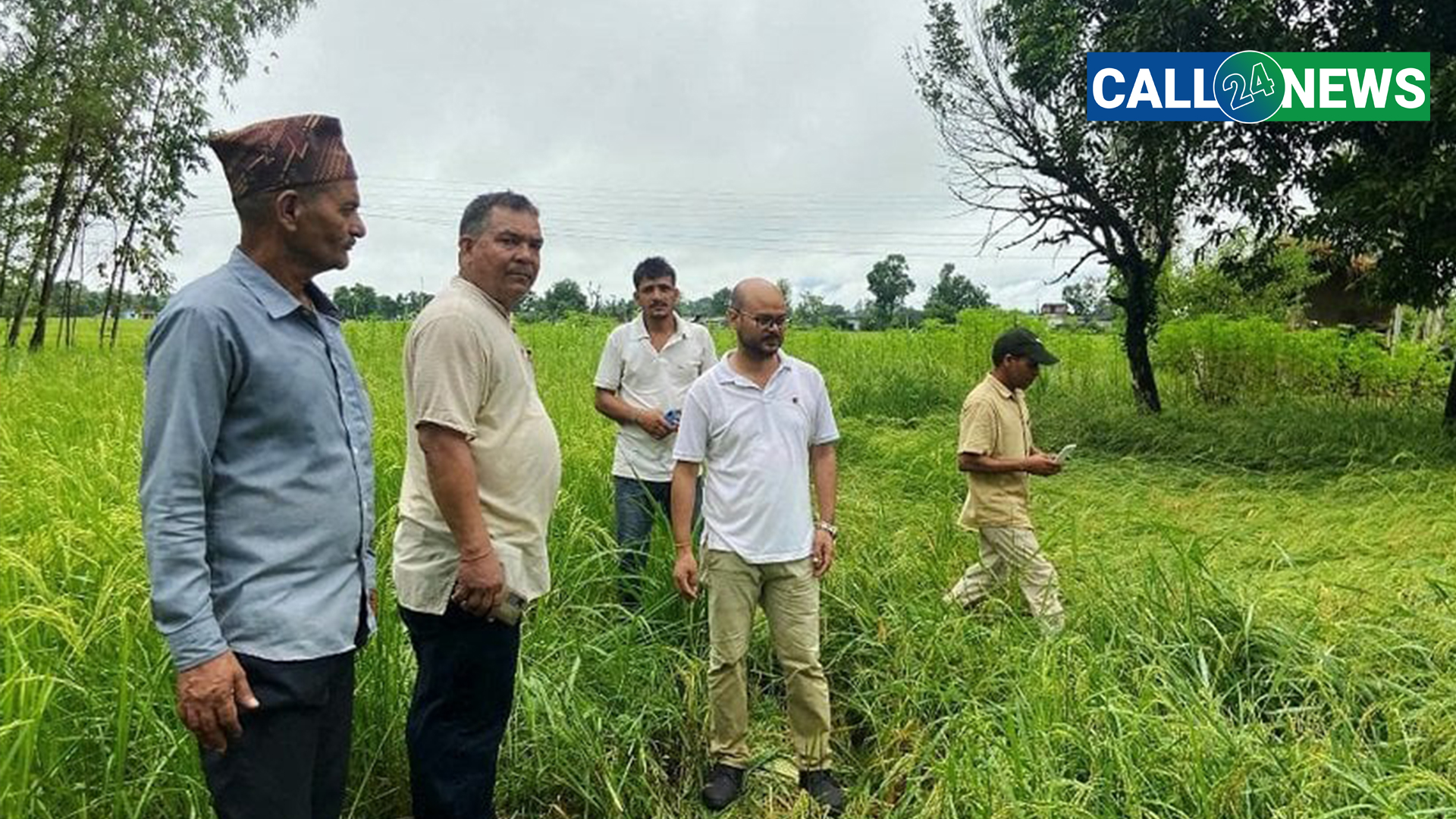 जङ्गली हात्तीद्वारा बीस बिघाको धानबाली नष्ट