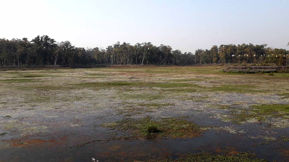 जलकुम्भी हटाएपछी सौन्दर्य देखीयो धनगढीको जाखोर ताल