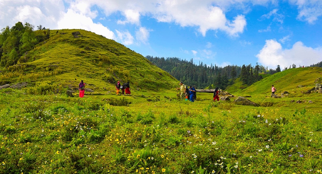 खप्तड राष्ट्रिय निकुञ्जमा निरन्तर घट्दै राजस्व, के को कारण ?