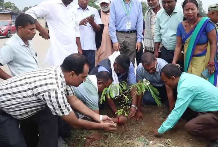 मधेसका ८ वटै जिल्लामा वृक्षारोपण, ६५ लाख बिरुवा रोप्ने लक्ष्य