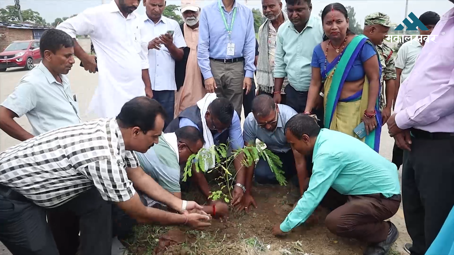 मधेसका ८ वटै जिल्लामा वृक्षारोपण, ६५ लाख बिरुवा रोप्ने लक्ष्य