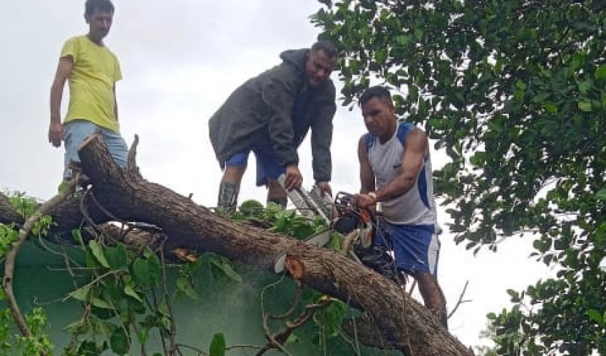 धनगढीमा एक घरमाथि रूख ढल्यो !