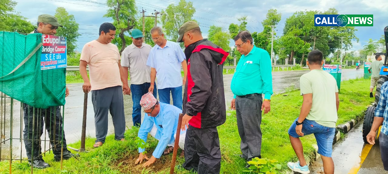 गोदावरी नगरपालिकाले रोप्यो धनगढी ६ लेन सडकमा नयाँ प्रजातिका विरुवाहरु