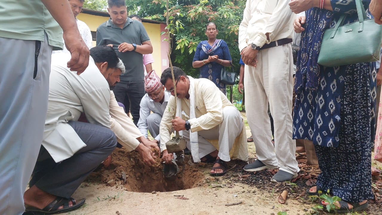 बिपी स्मृती दिवसको अवसरमा बृक्षारोपण कार्यक्रम