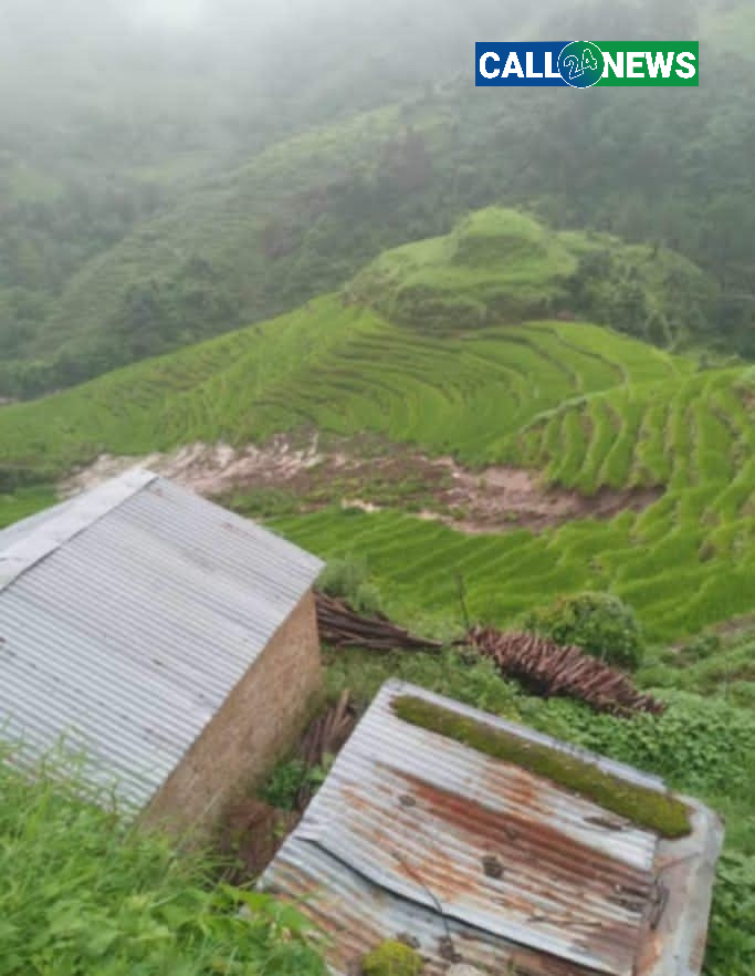 डोटीमा बर्षाका कारण ६ जना किसानको धानबालीमा क्षती