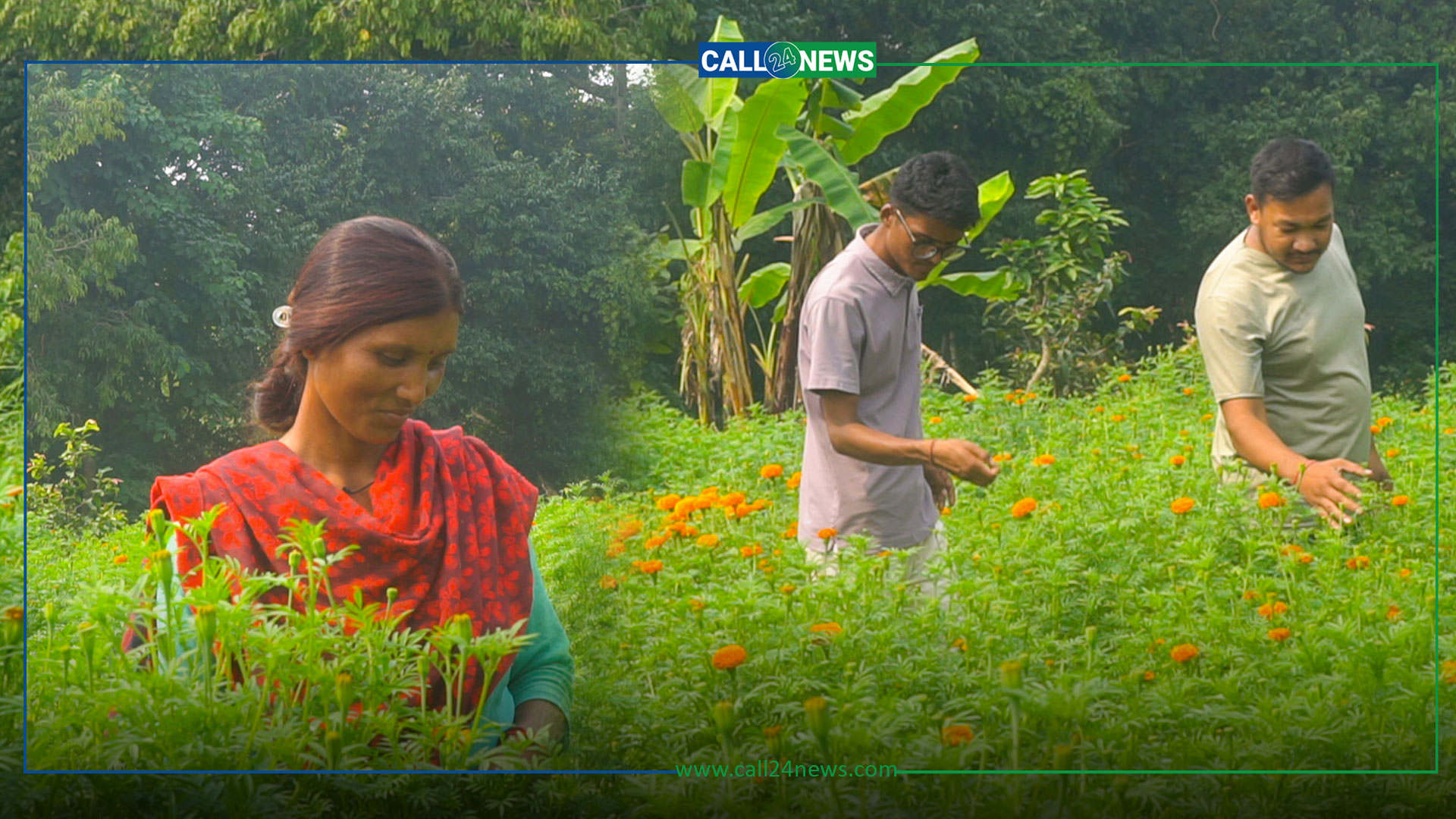 व्यवसायिक फूलखेतीमा रमाउँदै धनगढीका युवा…